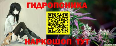 молекула духа Железногорск