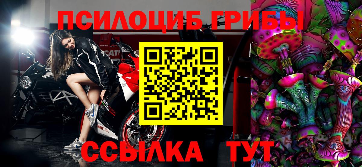 Галлюциногенные грибы ЛСД  Вход с VPN  Галлюциногенные грибы Psilocybine cubensis  Богданович 